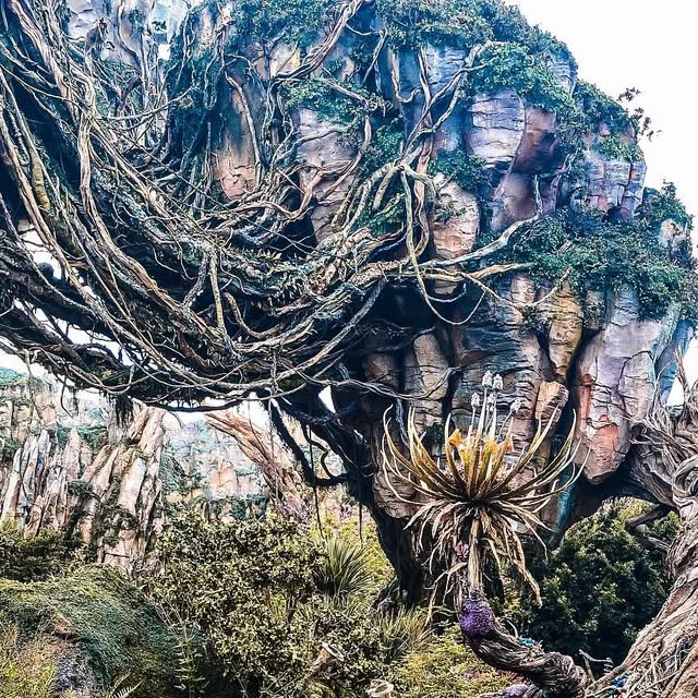 MickeyMomBlog's tweet card. Mickey Mom Blog (@mickeymomblog) • Instagram photo