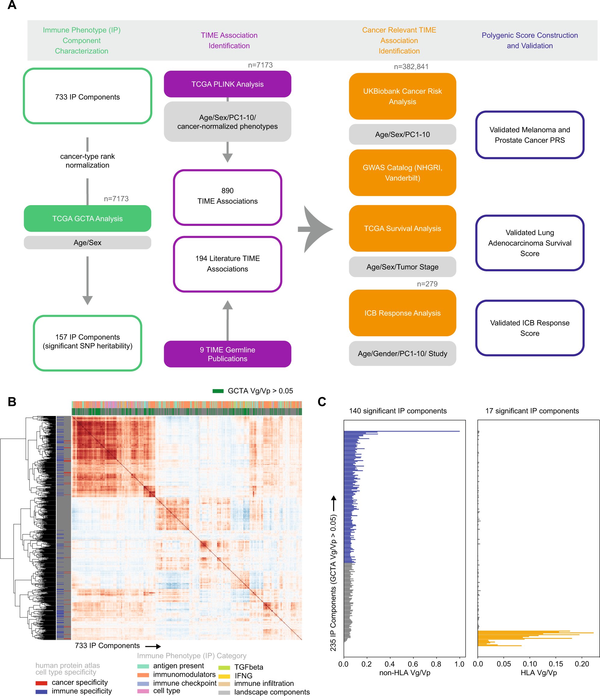meghatron2016's tweet card. Nature Communications - The contribution of genetic factors to the tumour immune microenvironment (TIME) remains to be investigated. Here, the authors suggest the role of TIME eQTLs for target...