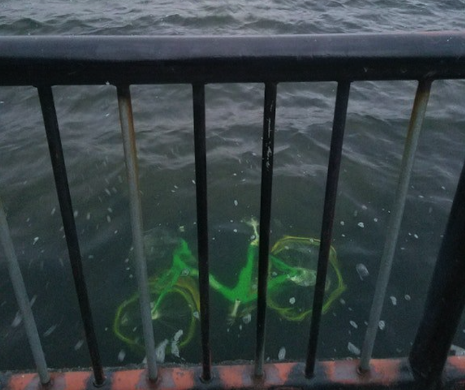 mnickelsburg's tweet card. You'd have to be completely oblivious to miss the thousands of neon-colored bike-share bicycles that hit the streets of Seattle this summer. But have you