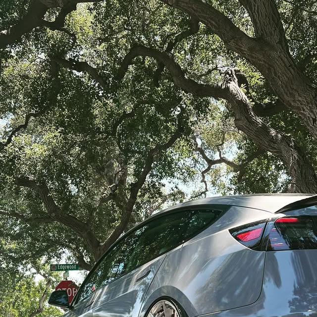TeslaReporter's tweet card. Tesla Reporter (@teslareporter) • Instagram photos and videos