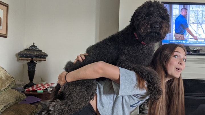 CarmelHSCheer's tweet card. This is Sydney.  Three weeks ago, she was just a normal 15 year old enjoying her sophomore year … Tisha Skelton Putman needs your support for Sydney's Journey