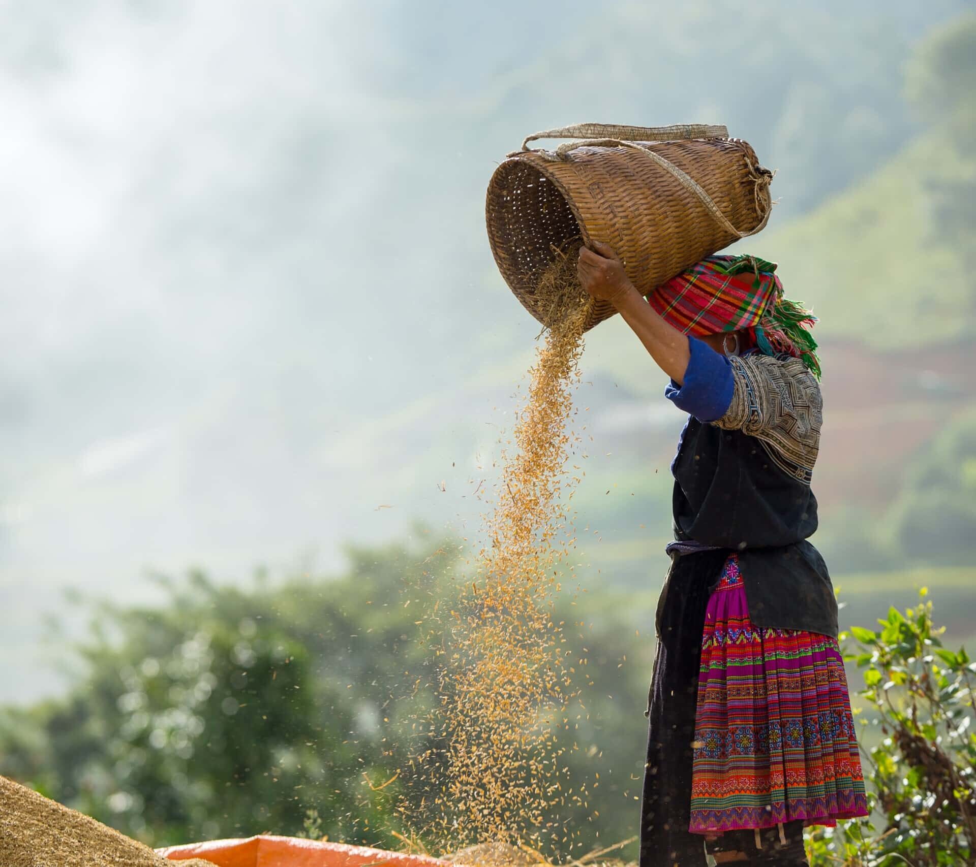 futureoffoodorg's tweet card. A comprehensive report on increasing climate finance for food systems transformation, with policy recommendations.
