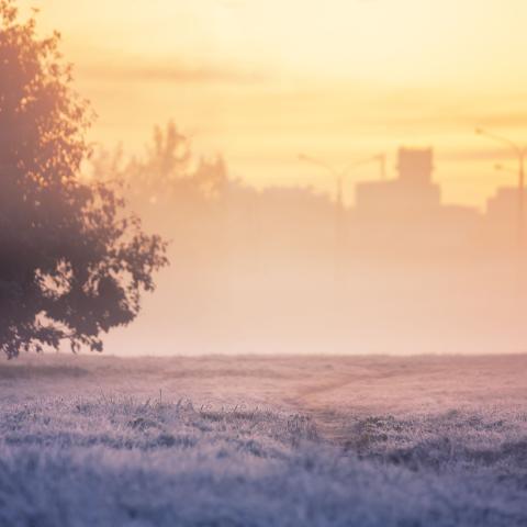 Fortum's tweet card. This year has been one of great changes in the societies around us. The pandemic has profoundly impacted the way we run our everyday lives, how we work and interact with each other. What hasn’t...