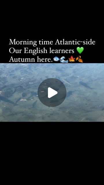 atlanticseal's tweet card. Atlantic School of English (@atlantic_seal) • Instagram reel