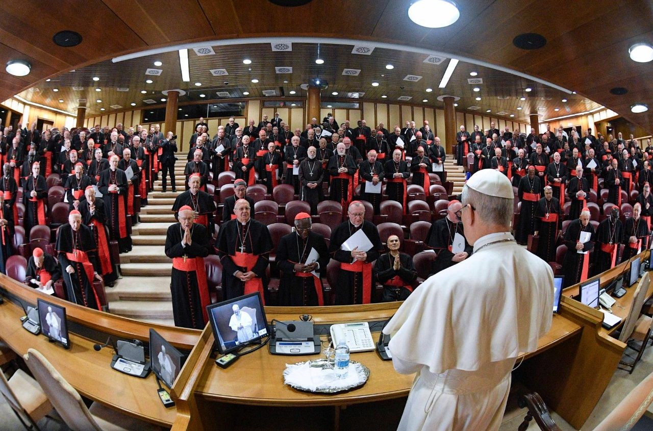 VaticanNews's tweet card. In his first address to the College of Cardinals, Pope Leo XIV invokes the legacy of both Pope Francis and Pope Leo XIII, saying that he wants the ...