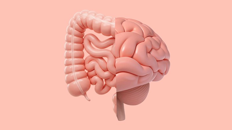 Alex_Villinger's tweet card. Welche Informationen der Darm ans Hirn sendet, wie das Gehirn für Durchfall und Magenschmerzen sorgt und wie wir mehr Wohlbefinden in die Darm-Hirn-Achse bringen.