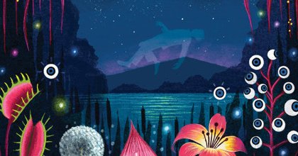 Tweet card summary image