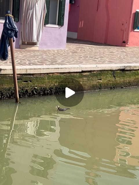 hutterdesign's tweet card. Nil Hutter (@nil_hutter) • Instagram photos and videos