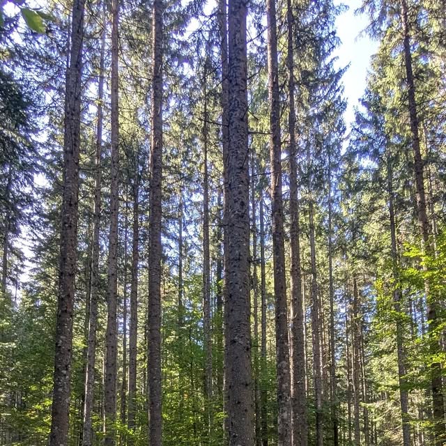 hutterdesign's tweet card. Nil Hutter (@nil_hutter) • Instagram photo