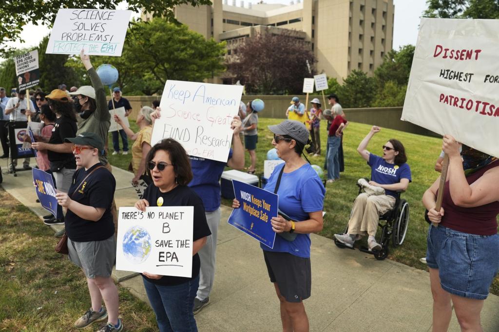 BjornLomborg's tweet card. Over the past half-century, environmentalists have predicted countless calamities.