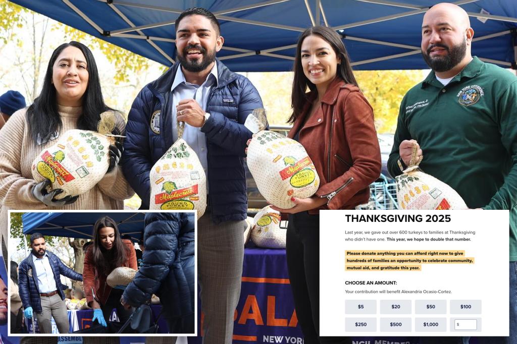 rdb2110aolcom's tweet card. "Thanksgiving is two weeks away," the self-described "Bronx girl" wrote in an email blast this week. "Will you chip in $5 or anything you can today to help us bring the joy of the holiday season...
