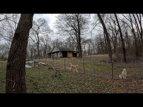 BreezyWillowFrm's tweet card. What's on the horizon in 2025 for Breezy Willow Acres