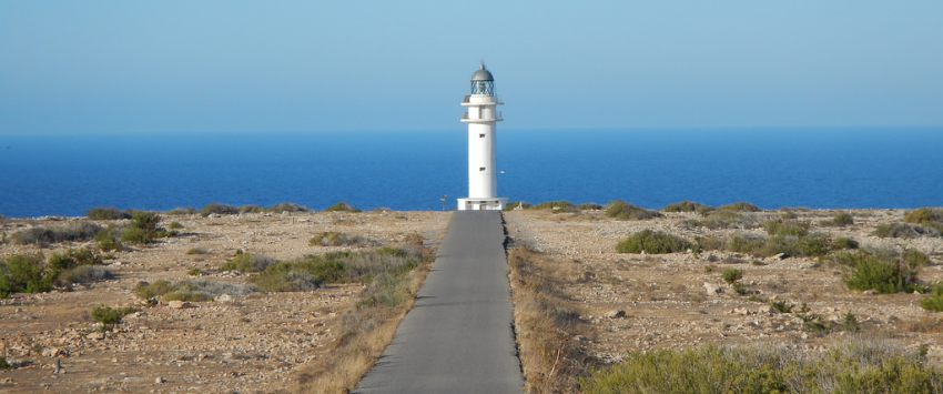 NelioSoft's tweet card. If you're looking to create or redesign your landing page, it's helpful to see some examples that follow the current design trends. Get inspired!