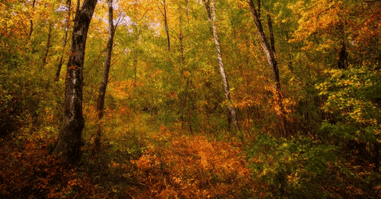 hybrotus's tweet card. はじめに 事業再生に携わる中で対象会社の利益構造の見極めが甘い経営コンサルタントやデューデリジェンス資料に遭遇することが多々ある。経験豊富かつ優秀な経営コンサルタントであれば、P/LとB/Sに加えて初回のインタビューだけで対象会社の利益構造に関して一定の仮説を立てられるであろう。なぜなら事業再生における利益構造の勘所は限定的であり、見極めるために必要な情報も多くないためである。しかしながら、...