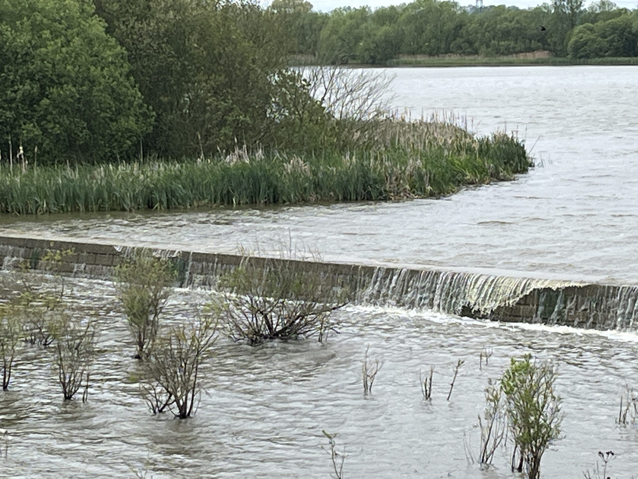 LindaHobden's tweet card. I’m so pleased to be on Cheryl Grey Bostrum’s book tour to promote her latest book, What The River Keeps. And what a book it is! With an outdoorsy theme and a love element too, it’s the perfect…