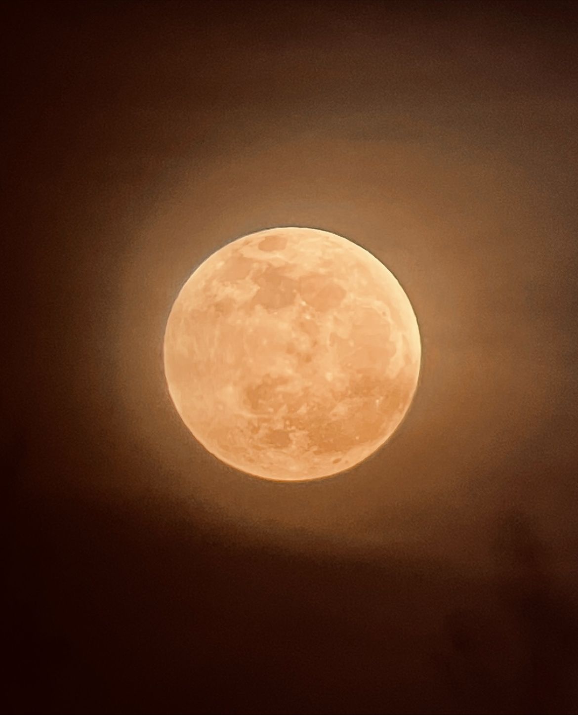 StorageTechie's tweet card. It wasn't the cloud cover that "canceled" the lunar eclipse last night... It was the Dallas Mavericks blowing out the Sun(s).