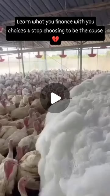 RavenTW's tweet card. Trish Raven (@raventw) • Instagram reel