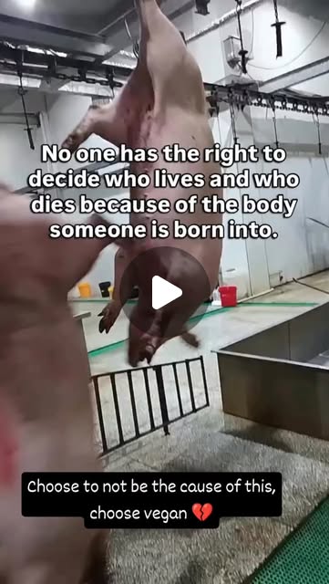 RavenTW's tweet card. Trish Raven (@raventw) • Instagram reel