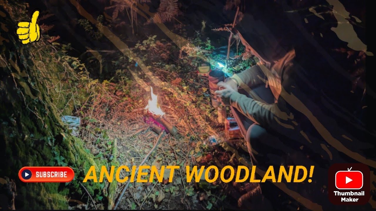 Pitchedup24's tweet card. Wild Camp 15 - Forewood, Crowhurst 2.0 - Strange noises coming from...