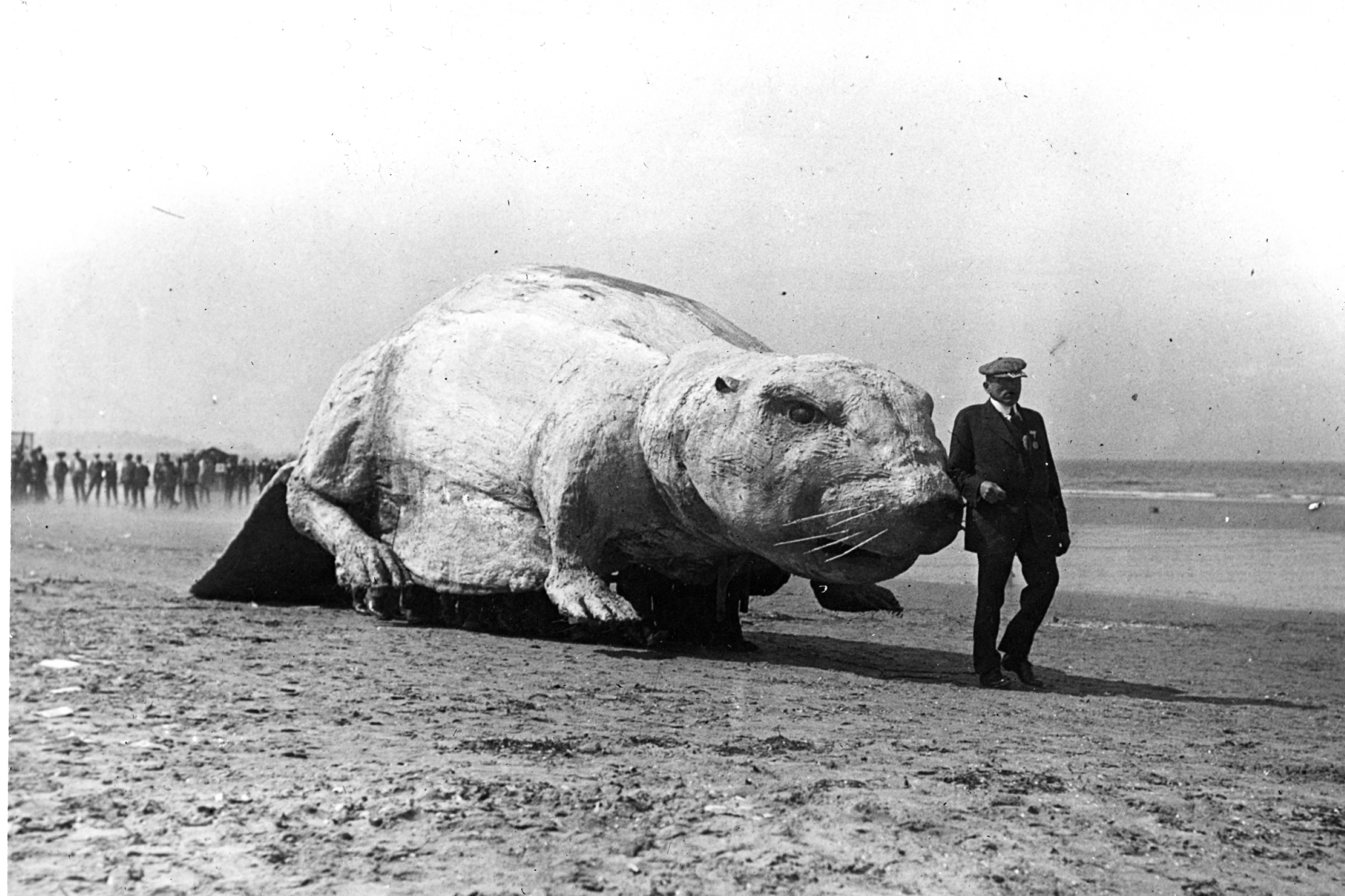 PittieAditya's tweet card. The MIT Alumni Association celebrates 150 years of bringing alumni together.Read more.