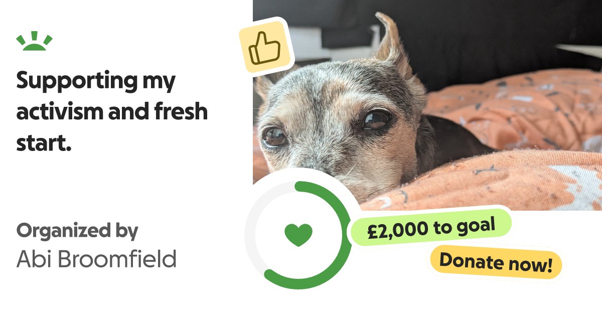 ChronicallyVex's tweet card. Hi, my name is Abi and 2025 has been one of the most stressful years in my lif… Abi Broomfield needs your support for Supporting my activism and fresh start.