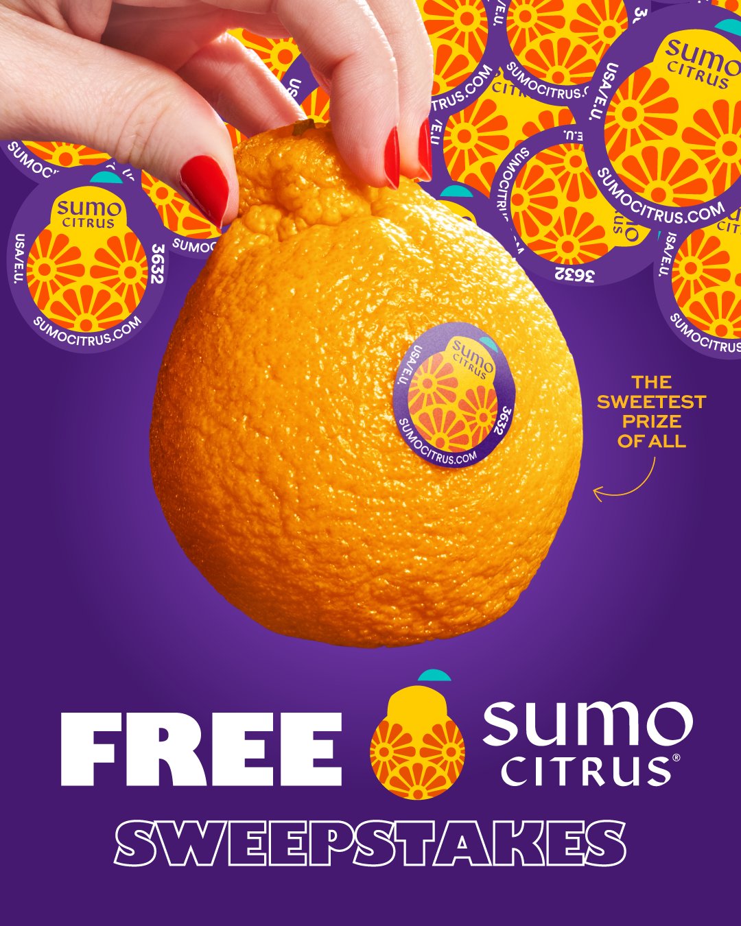 DaveRef's tweet card. As winter settles in, there’s one more season we eagerly await—Sumo Citrus Season, the Sweetest Season! Enter the Fruit for the Season Sweepstakes and get ready to enjoy the ultimate citrus experie...