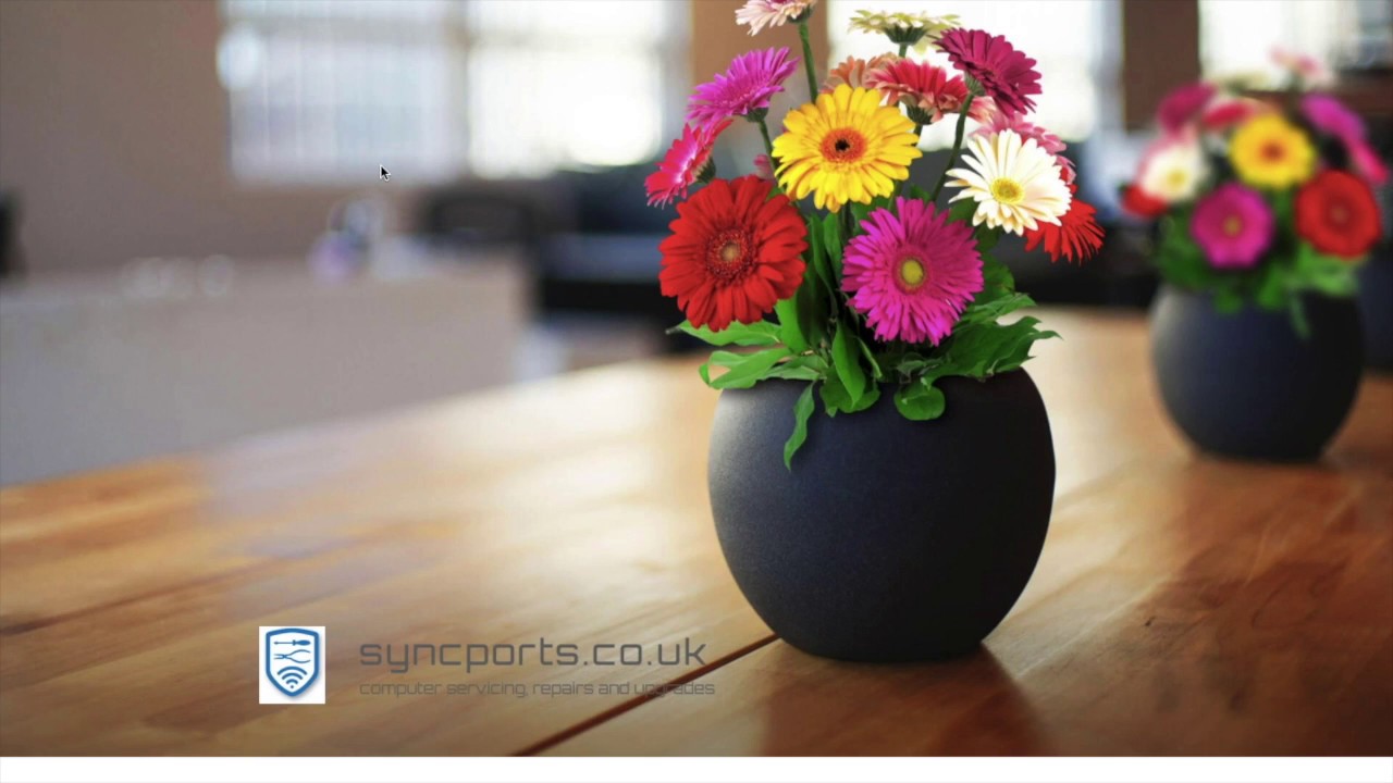 webdcouk's tweet card. Options for Twenty Seventeen Demo