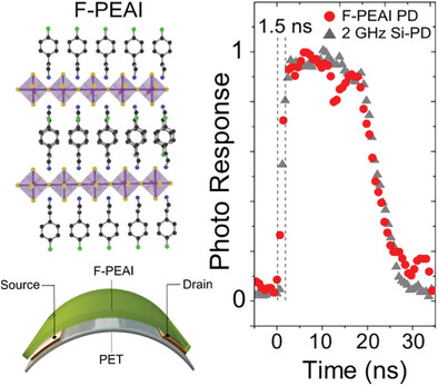 russo_lab's tweet card. The 2D-fluorinated phenethylammonium lead iodide perovskite (F-PEAI) enables the fabrication of real-time and highly sensitive sub-wavelength photodetectors on different substrates including flexib...