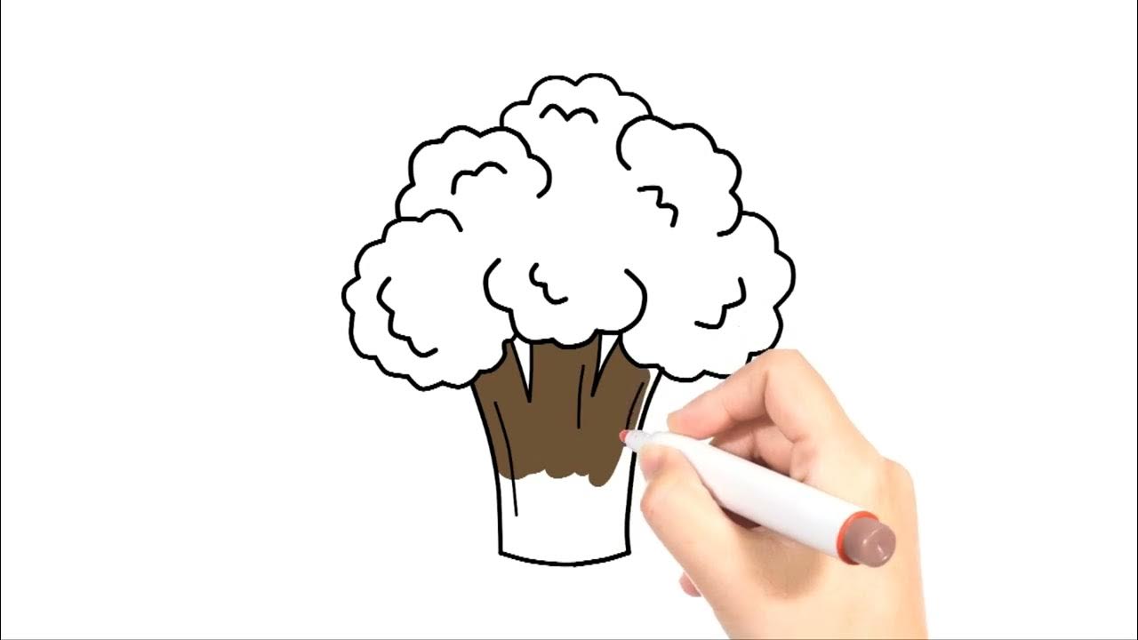 DebuterUnBlog's tweet card. Comment dessiner et colorier un brocoli facilement