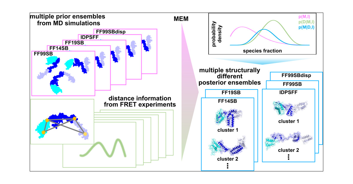 jctc_papers's tweet card. Maximum entropy methods (MEMs) determine posterior distributions by combining experimental data with prior information. MEMs are frequently used to reconstruct conformational ensembles of molecular...