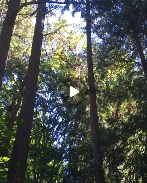 FieldsTreeCare's tweet card. Fields Tree Care LLC (@fieldstreecare) • Instagram photos and videos