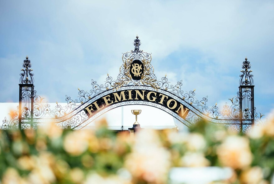 PuntFormPro's tweet card. Runner-by-runner preview and best bets for the 2025 Crown Oaks at Flemington. Brought to you by the expert team at Punt Form Pro
