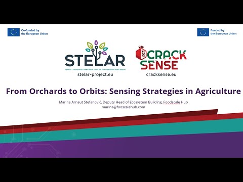 CrackSenseHE's tweet card. CrackSense and STELAR Joint Webinar