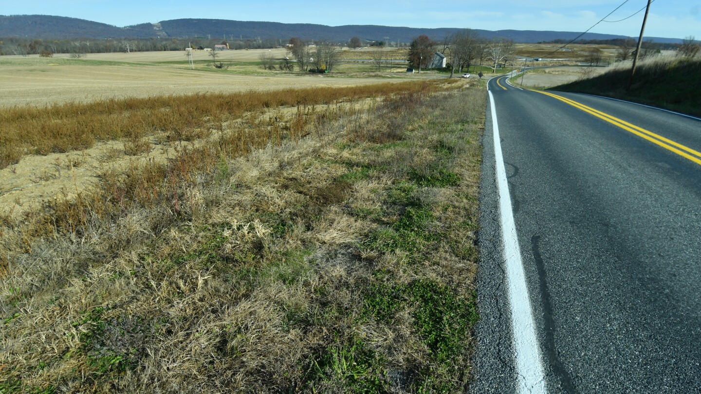 P3_PowerGroup's tweet card. Utilities are producing eye-popping forecasts about the amount of electricity they'll need to power massive new data centers that are feeding the fast-growing AI economy.