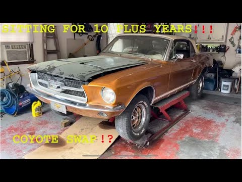 compadre_champ's tweet card. RESTORING MY 1968 FORD CONVERTIBLE MUSTANG THAT HAS BEEN IN THE...