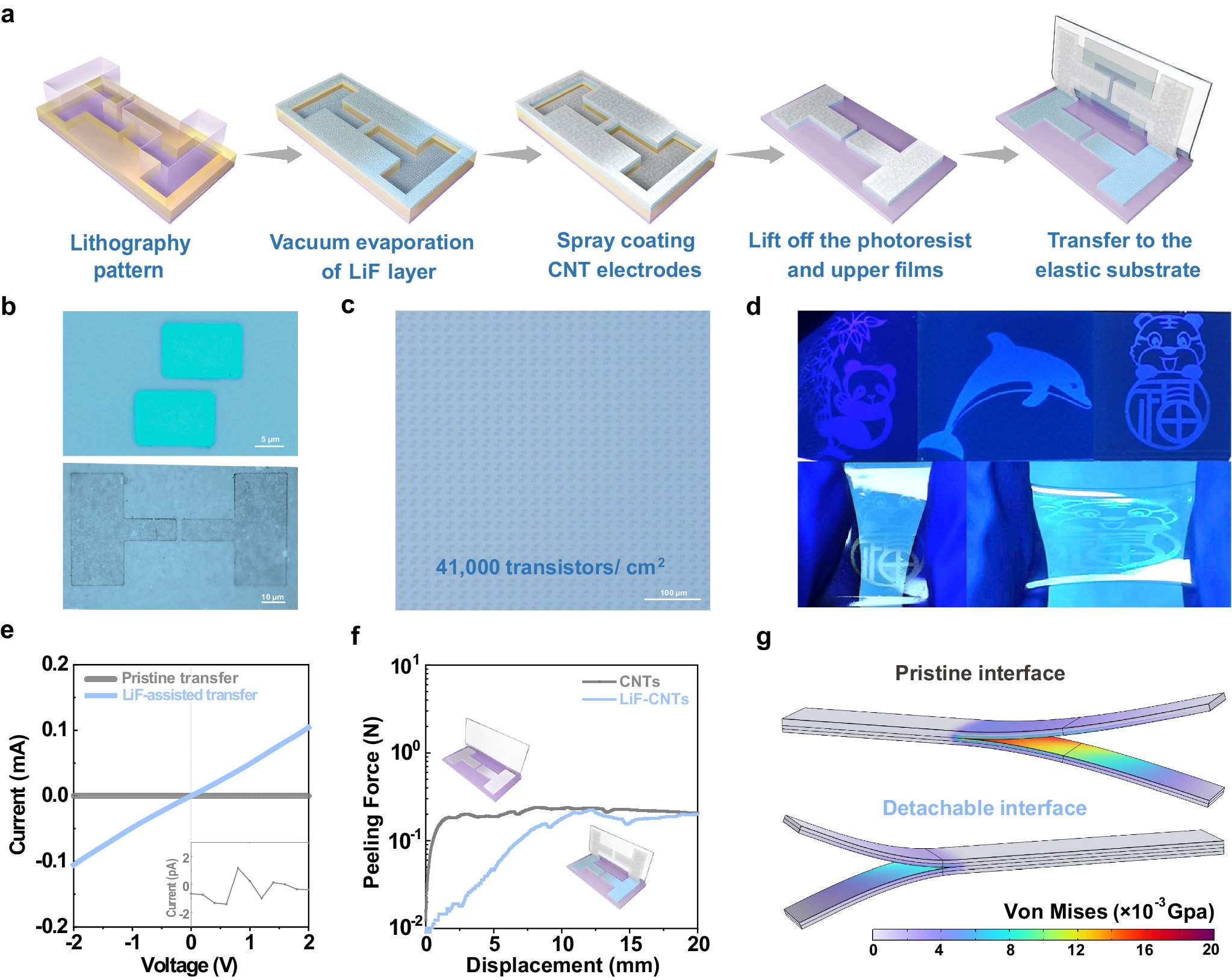 NatureComms's tweet card. Nature Communications - Pixel size, power consumption, and stability of stretchable optoelectronic devices limit their application in digital imaging. Bian et al. developed a universal detachable...