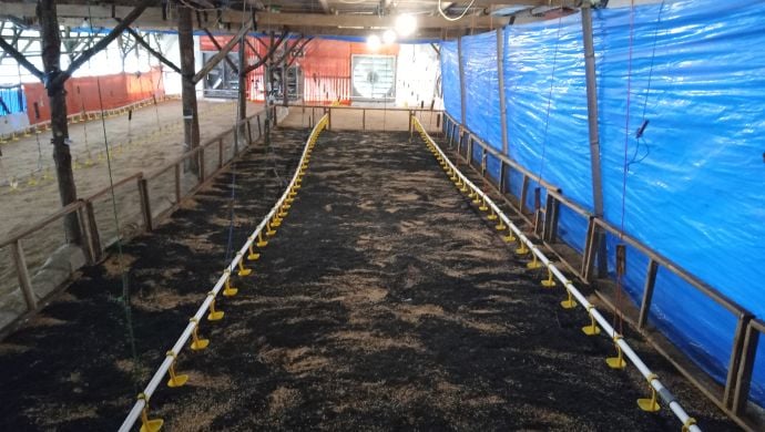 Wavemaker_VC's tweet card. The biochar solutions that WasteX produced offers many benefits for poultry farms, from disease eradication to carbon offsetting