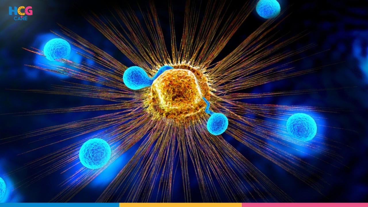 AcademicsHcg's tweet card. Alternative RNA splicing mirrors the actions of a film editor. Like how he or she creates varying versions of a movie from the same footage – whether a comedy, tragedy, thriller, slice of life, or...