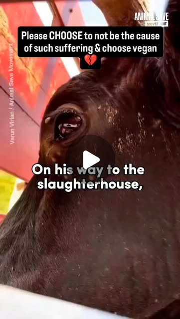 RavenTW's tweet card. Trish Raven (@raventw) • Instagram reel