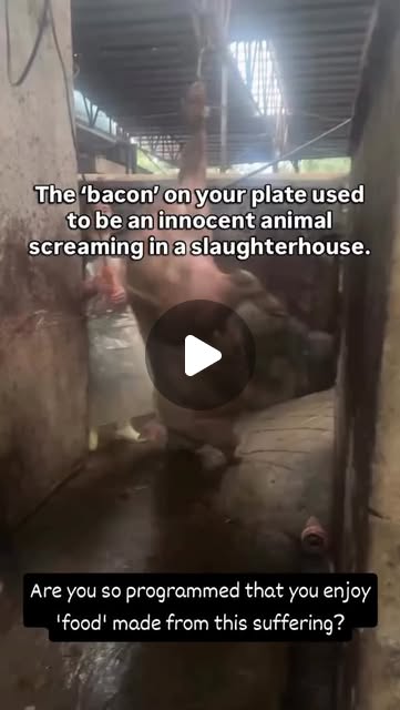 RavenTW's tweet card. Trish Raven (@raventw) • Instagram reel