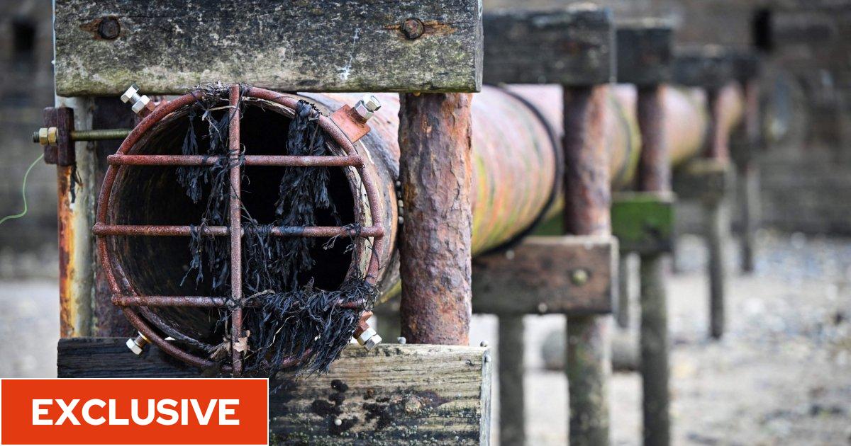 Feargal_Sharkey's tweet card. Documents seen by i show the company was unable to tell campaigners how much it was discharging because it doesn't track the data