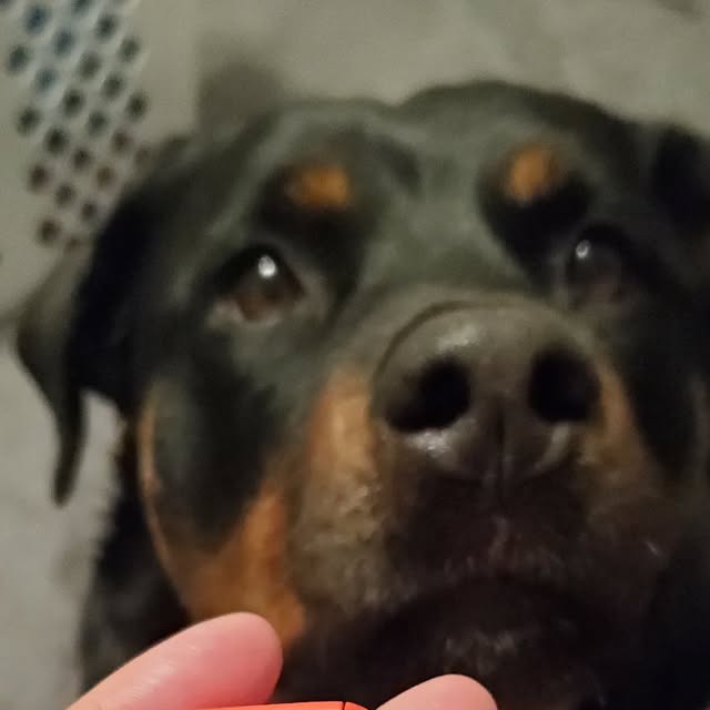 DocMarthaSF's tweet card. doc martha she, her (@docmartham) • Instagram photo