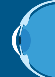 DrQuekles's tweet card. Patterns of brain activity contain meaningful information about the perceived world. Recent decades have welcomed a new era in neural analyses, with computational techniques from machine learning...