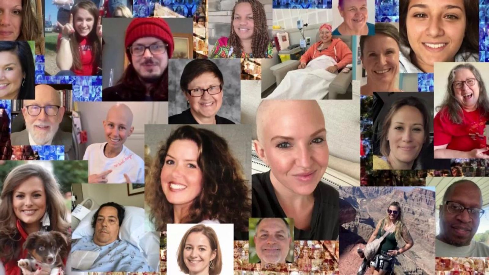 EnviroNotes's tweet card. NC State University filed a lawsuit against Monsanto, alleging the company failed to warn the university about the dangers of PCBs (Polychlorinated Biphenyls) that have caused "extensive" contamina...