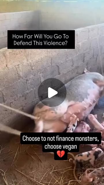 RavenTW's tweet card. Trish Raven (@raventw) • Instagram reel