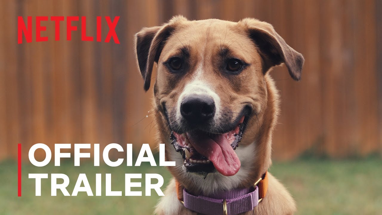 RobLowe's tweet card. Inside the Mind of a Dog | Official Trailer | Netflix