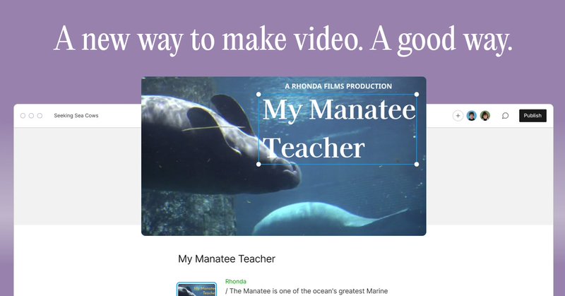 Tweet card summary image