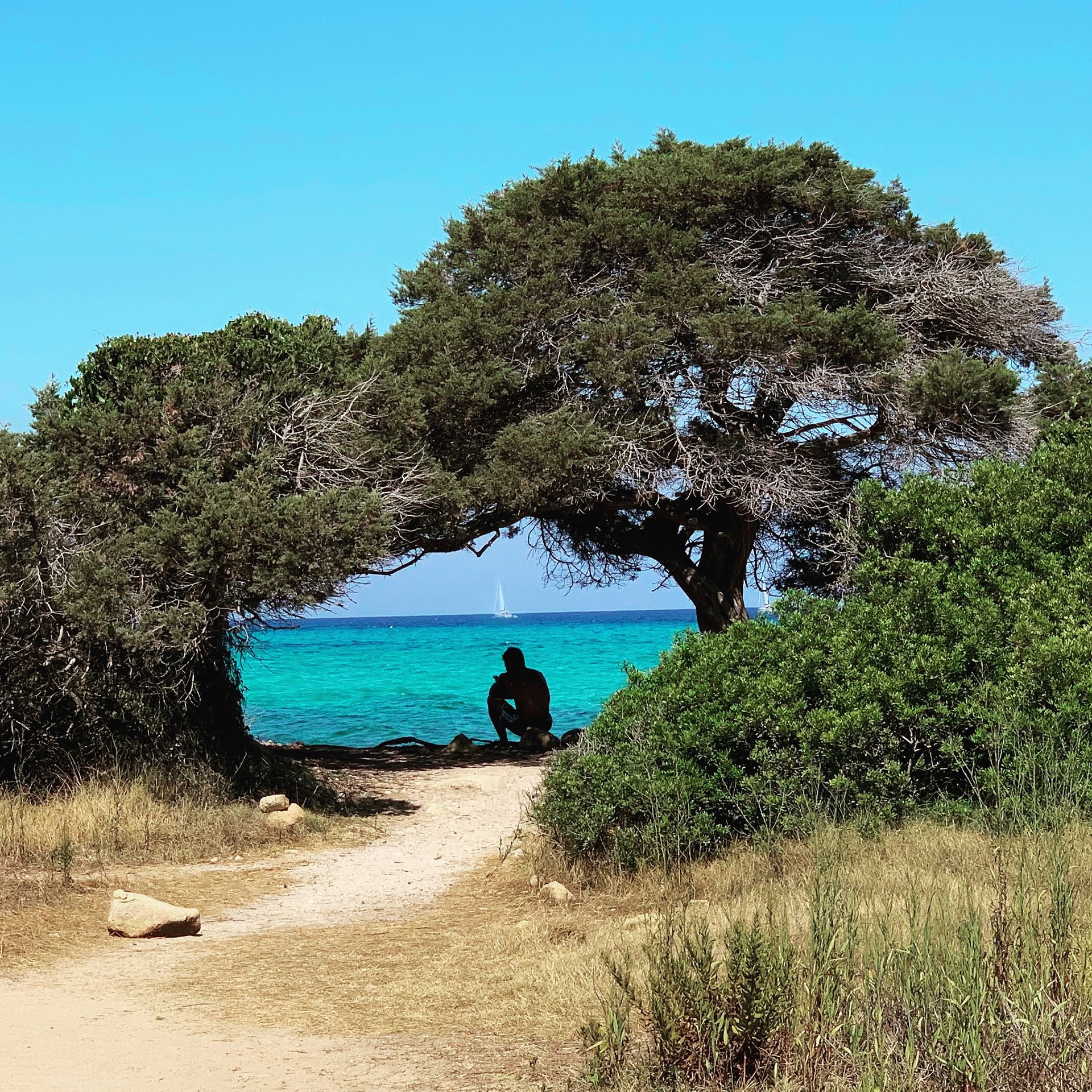 TritaTech's tweet card. Viaggio in Costa Smeralda per scoprire dove nasce la (scarsa) propensione degli italiani verso il tracciamento e, più in generale, verso la tecnologia come strumento di limitazione del contagio