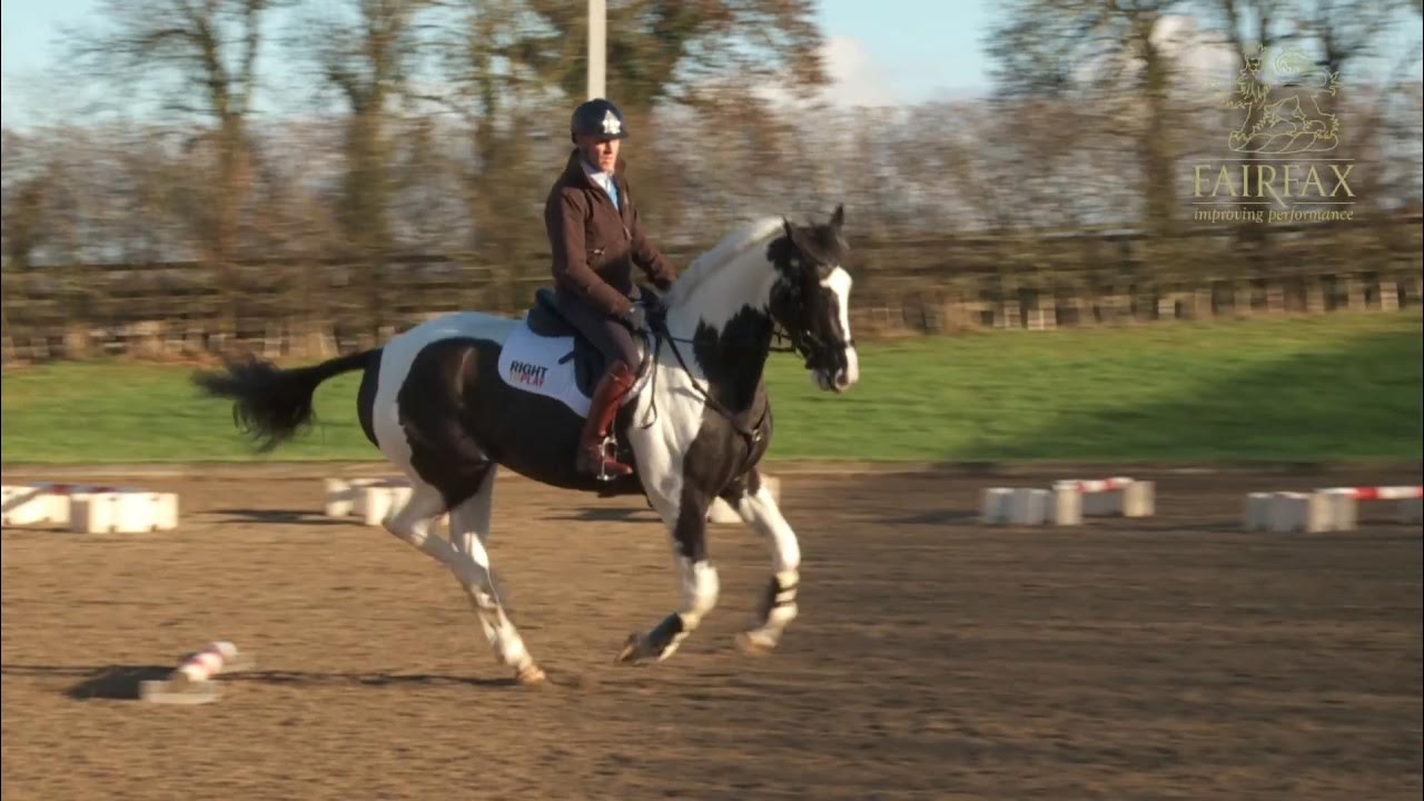 HoyEventing's tweet card. Andrew Hoy Masterclass in Minutes - Single Pole