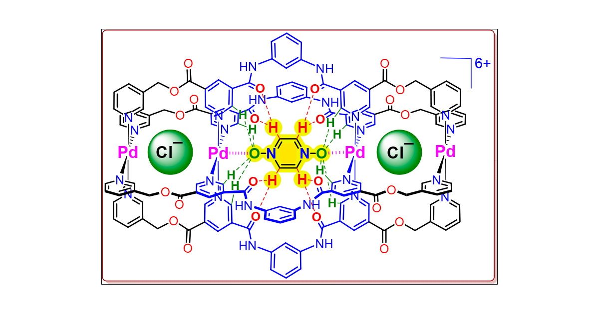 J_A_C_S's tweet card. A set of Pd2L4, Pd3L4, and Pd4L4-type single-, double-, and triple-cavity cages are prepared by complexation of Pd(NO3)2 with designer bis-monodentate (L1), tris-monodentate (L2), and tetrakis-mono...